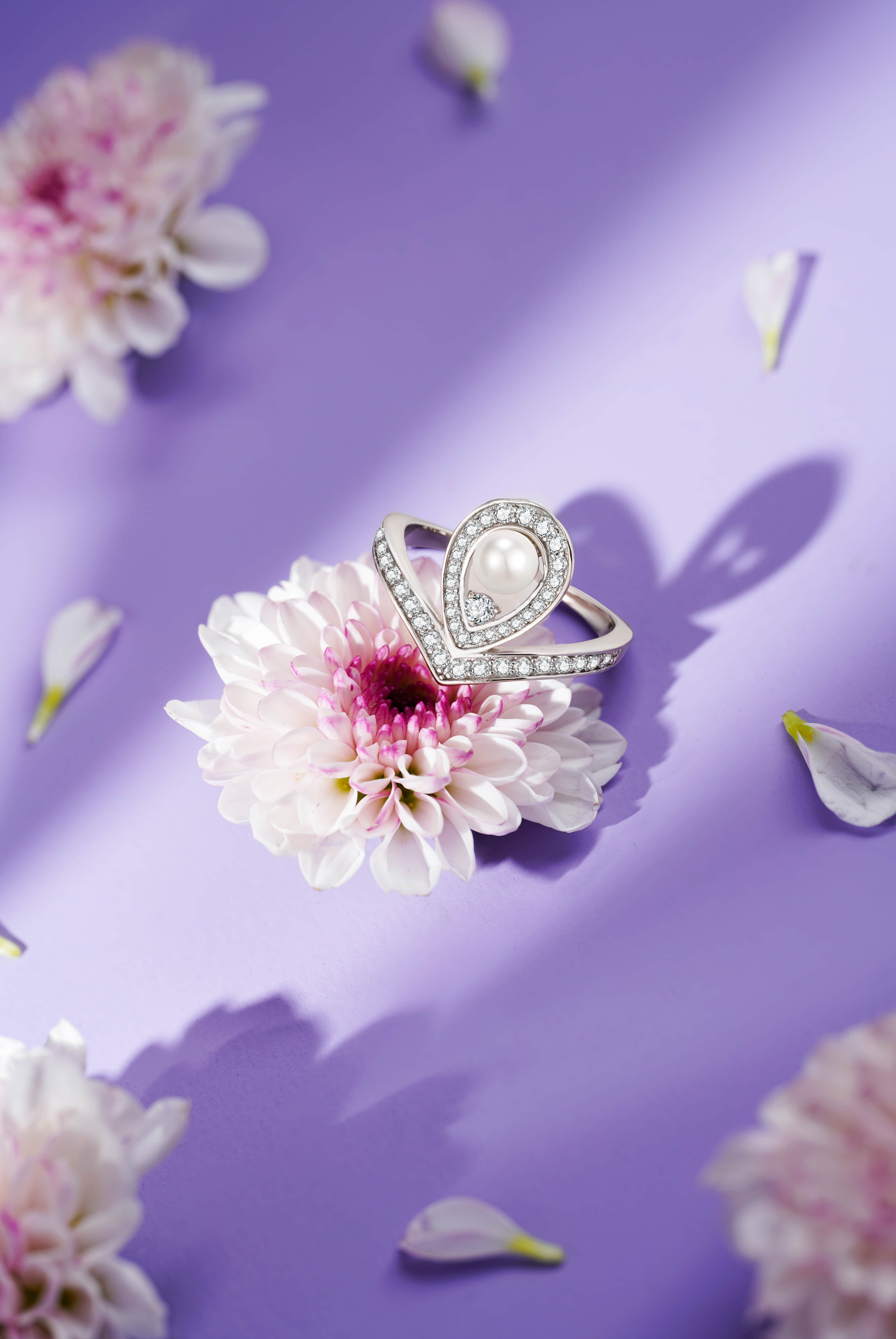 深圳产品拍摄公司_跨境电商产品图片_视频拍摄-风洲摄影