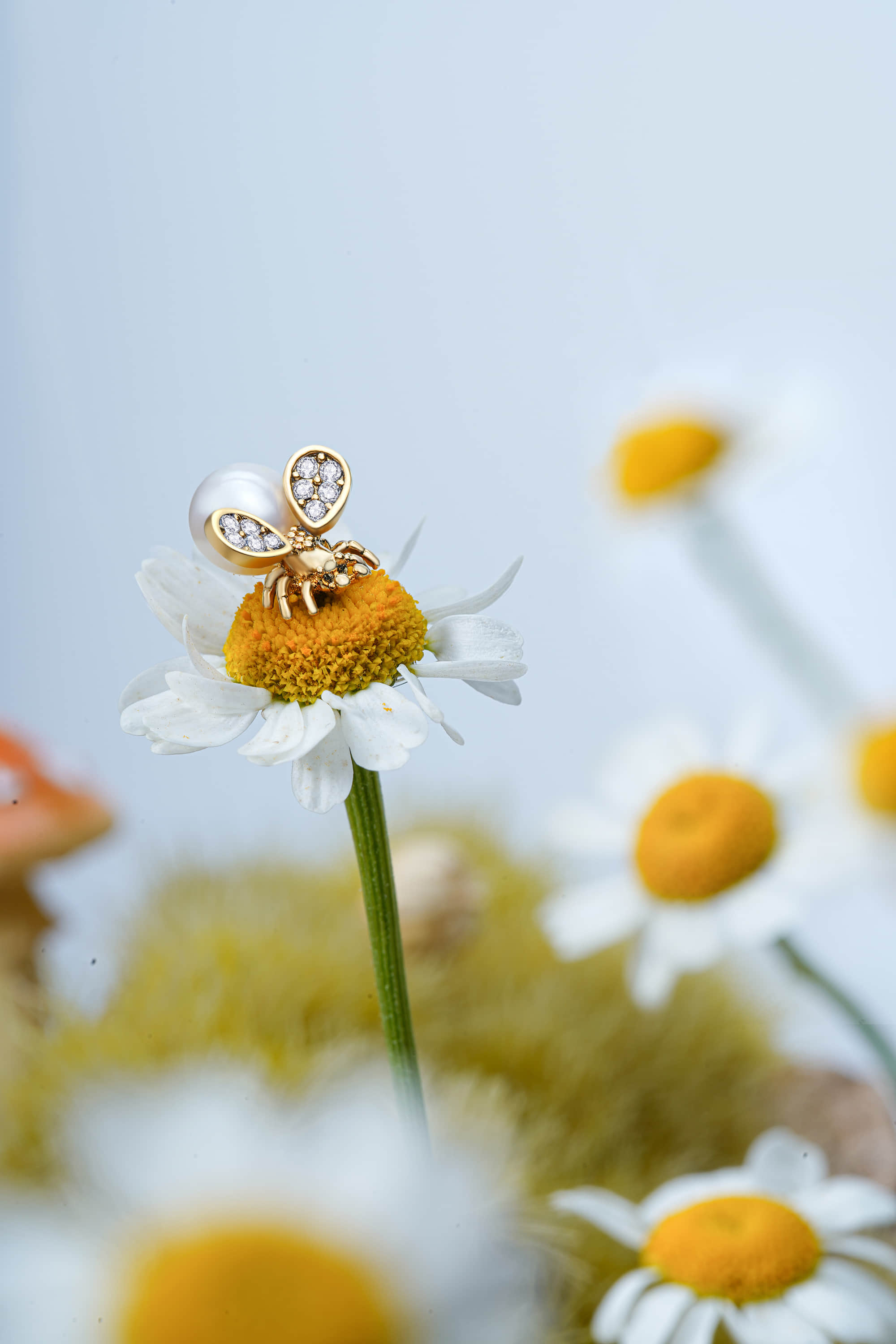 深圳产品拍摄公司_跨境电商产品图片_视频拍摄-风洲摄影