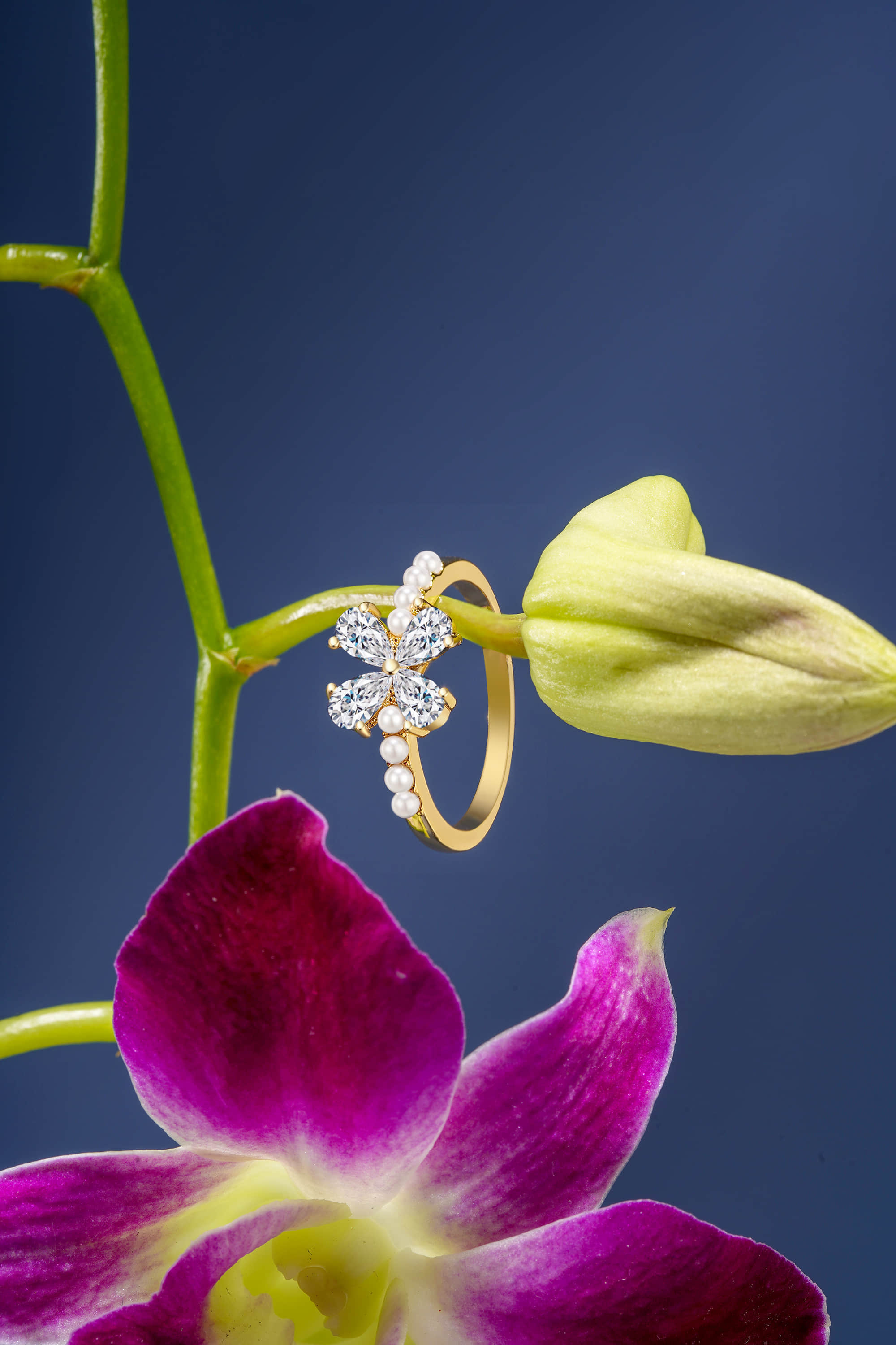 深圳产品拍摄公司_跨境电商产品图片_视频拍摄-风洲摄影