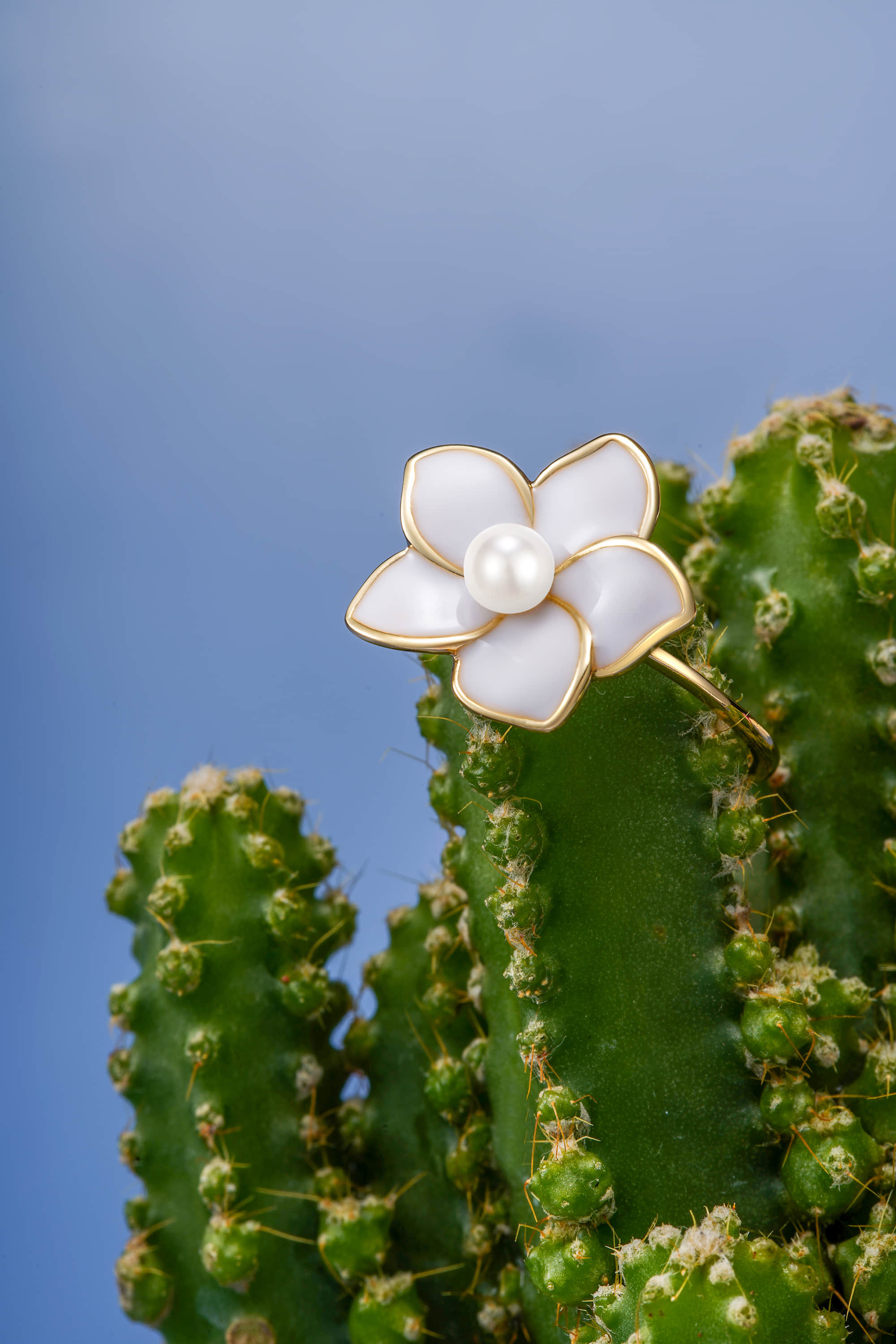 深圳产品拍摄公司_跨境电商产品图片_视频拍摄-风洲摄影