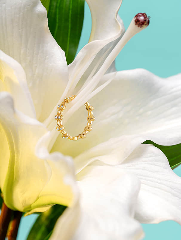 深圳产品拍摄公司_跨境电商产品图片_视频拍摄-风洲摄影