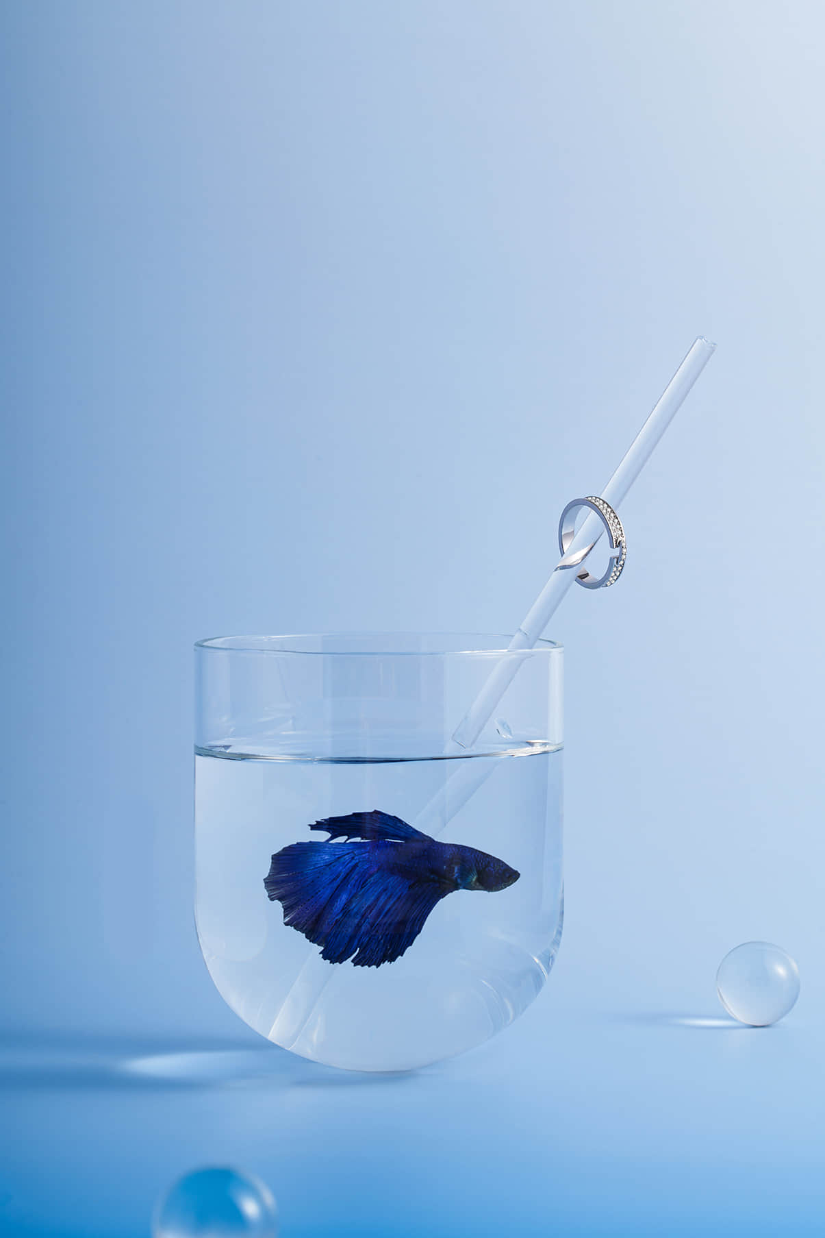 深圳产品拍摄公司_跨境电商产品图片_视频拍摄-风洲摄影