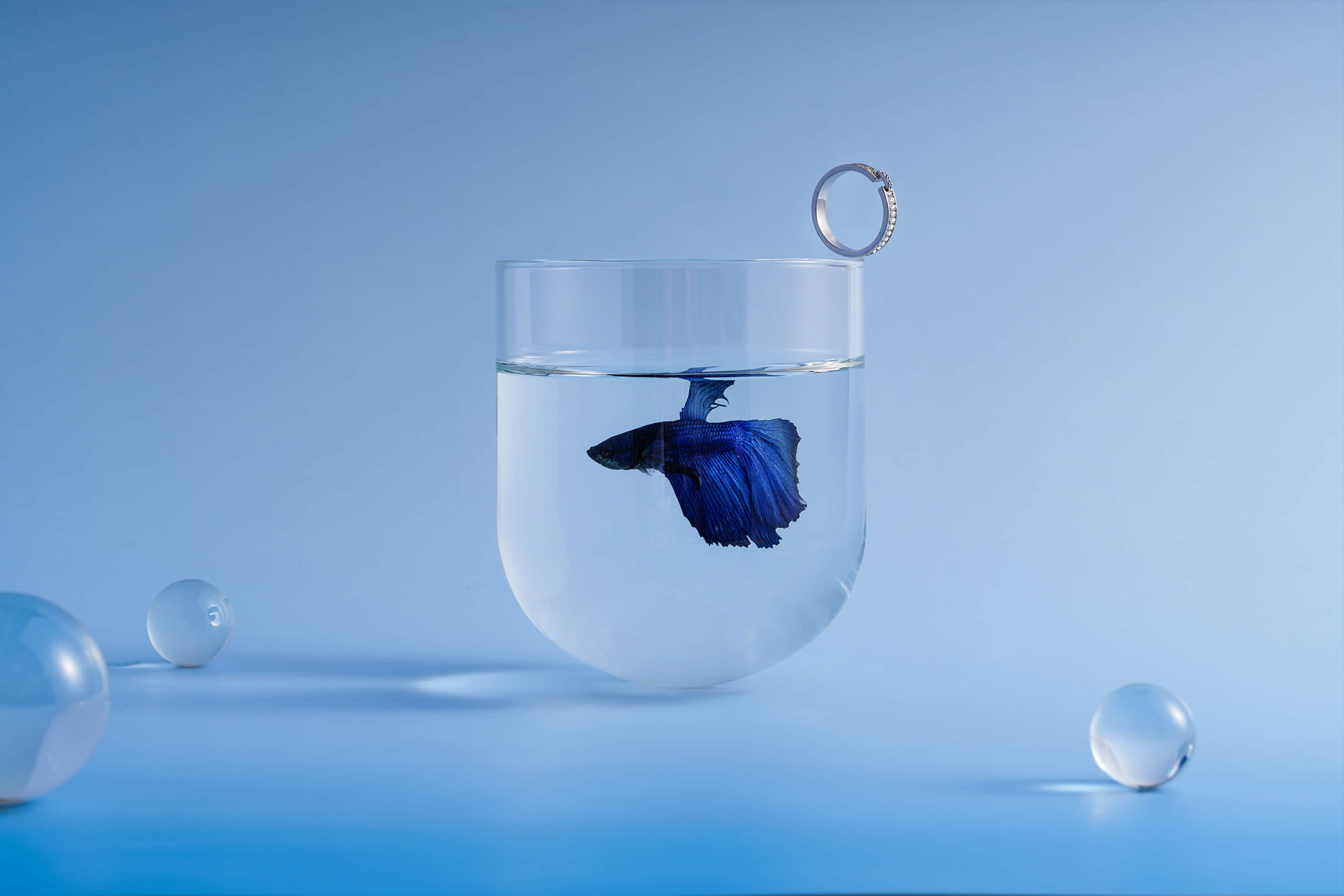 深圳产品拍摄公司_跨境电商产品图片_视频拍摄-风洲摄影