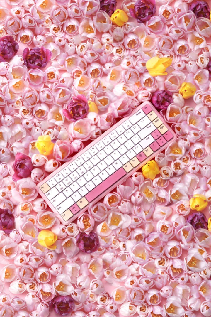 深圳产品拍摄公司_跨境电商产品图片_视频拍摄-风洲摄影