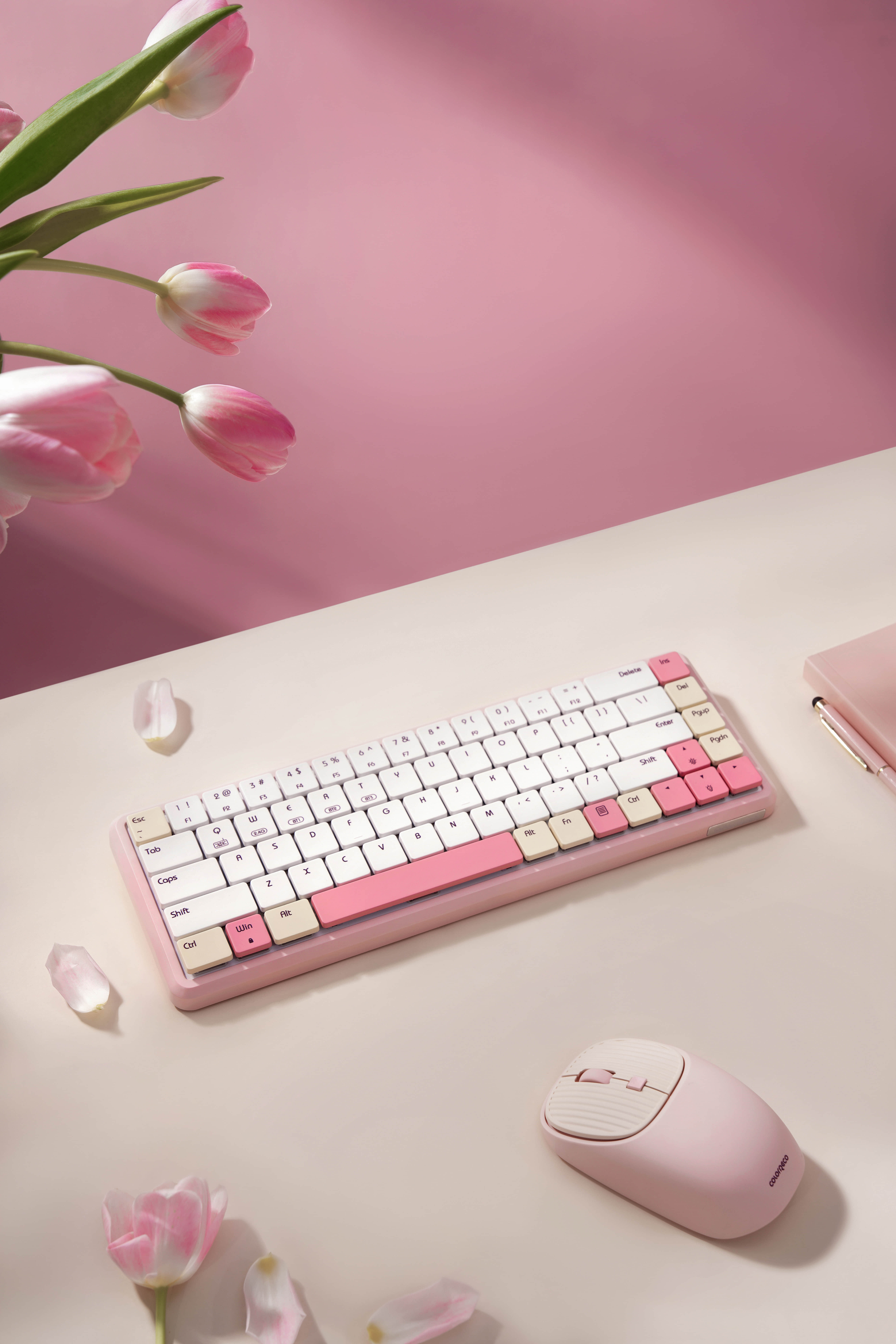 深圳产品拍摄公司_跨境电商产品图片_视频拍摄-风洲摄影