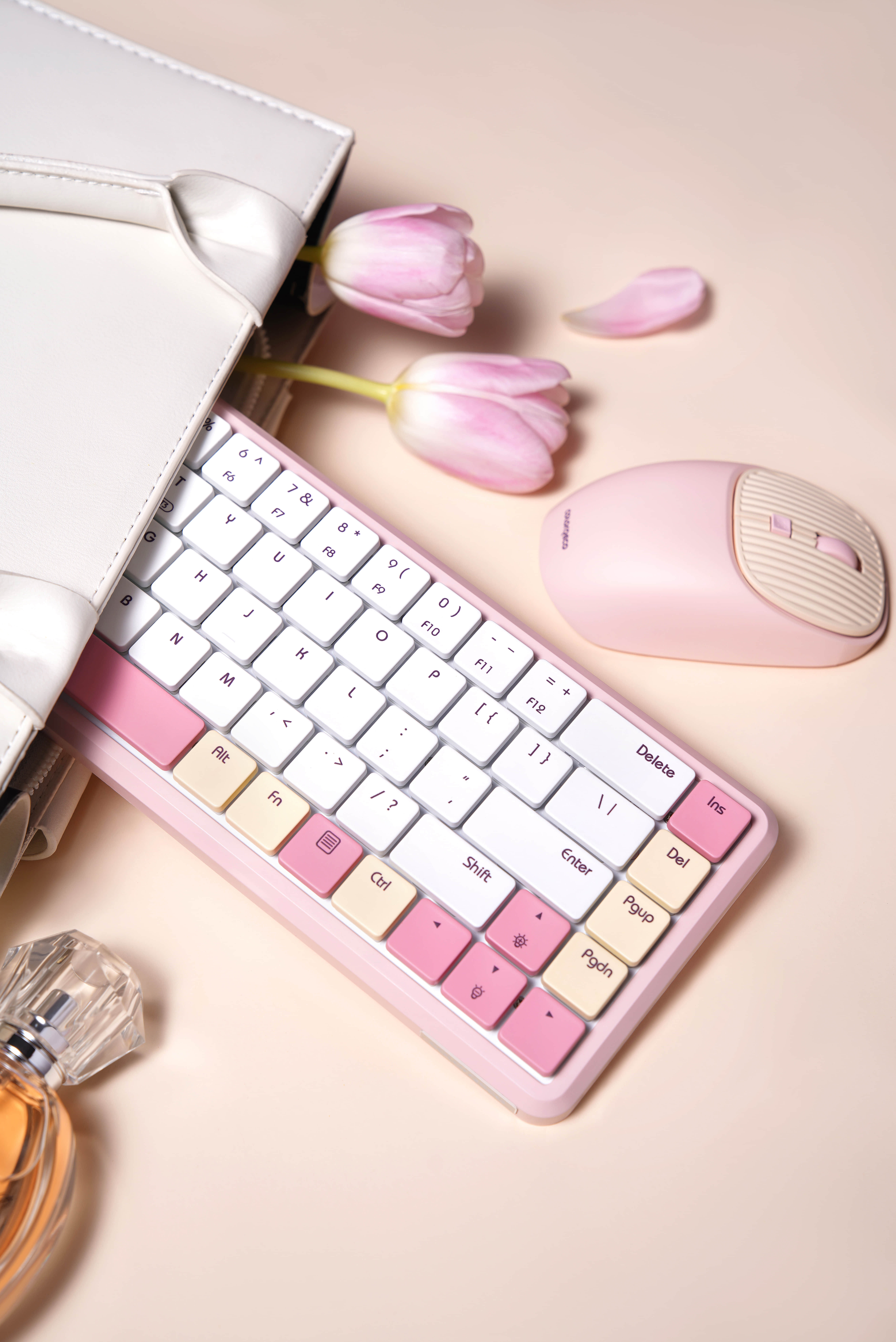 深圳产品拍摄公司_跨境电商产品图片_视频拍摄-风洲摄影