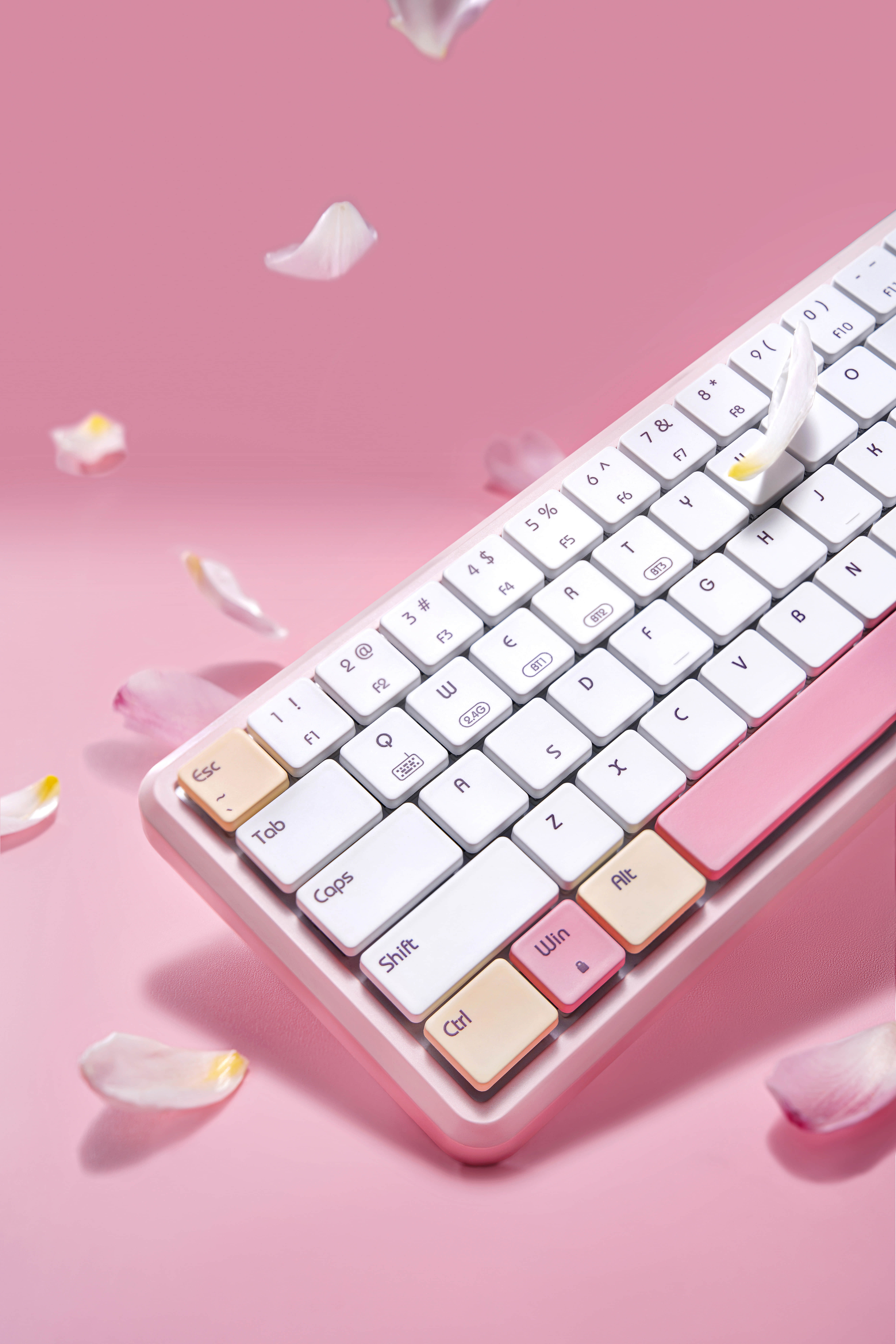 深圳产品拍摄公司_跨境电商产品图片_视频拍摄-风洲摄影